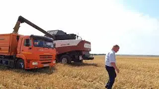 Черноморским аграриям предстоит убрать 51 604 га посевных площадей