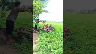 હાથ સાતી🔥પાવર ટીલર 🚜 Power Tiller Se Jutai #farming #agriculture #satisfying