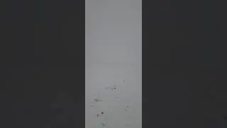 ажике жайлоо