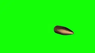 Bullet green video | Bullet slomo green screen video | The Green Visuals