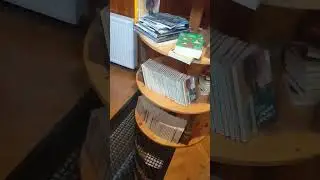 Отдых с любимой собакой бесценен#ялюблюсвоегобоксера#funny #germanboxer #немецкийбоксер #харликвинн