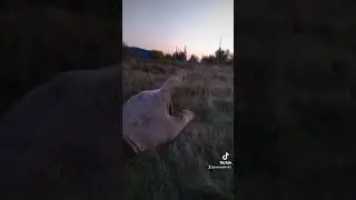 #загрузка #металл