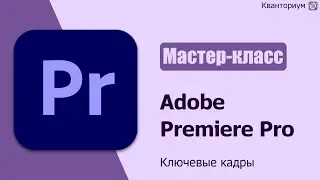 Добавление, выбор и удаление ключевых кадров Adobe Premiere Pro | Видеоурок #2