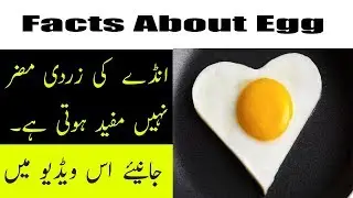 Egg Yolk is not Harmful | انڈے کے فوائد