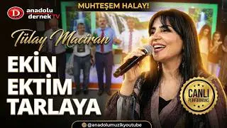 Tülay Maciran - Ekin Ektim Tarlaya Kızlar Gelip Biçecek (Halay) 2021 !!!