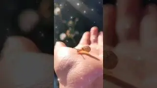 LOOK who I met! Little cutie 💓 🐌 