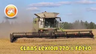 Harvest 2024 | Claas Lexion 770 with MacDon FD140 header