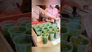 Asakusa, Tokyo@Figline Diaries#japan#sensoji#greentea#kimono#浅草#東京#賑やか#vitality#visittokyo