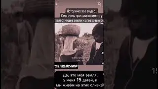 Историческое видео.Евреи пришли отнимать земли и оливки у пал.естинцев.@rohihaqmuslimin5643