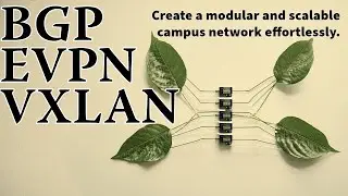 Deploy BGP EVPN VXLAN Campus Network in Minutes!