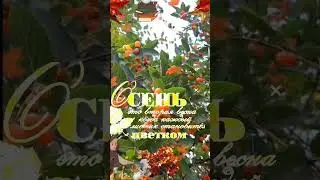 с первым осенним утром