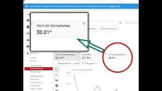 What Is YouTube Red Earnings?