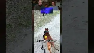 ЗРЯ СПРОСИЛ🤣😂 