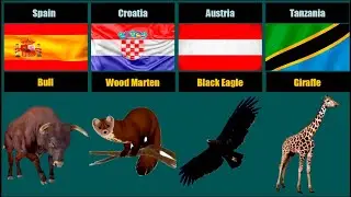 National Animals From Different Countries (Comparison)