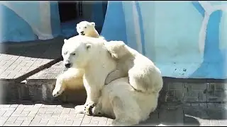 Маленькие хулиганки и мама Герда. Терпи, Герда!