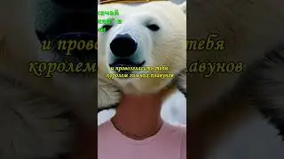 Что если плавать в бассейне в -40 °C?