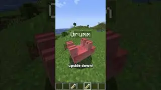 All of Minecraft's secret name tag mobs! 🏷️ 