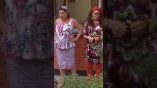 Сваты смешные моменты 