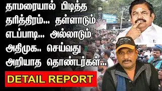 தாமரையால் பிடித்த தரித்திரம்| அதிமுகவில் போட்டியிட ஆள் இல்லை | செய்வது அறியாத தொண்டர்கள்