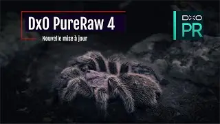 DxO PureRaw 4
