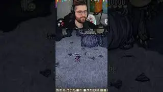 Don't Starve Together - Can't Catch Me! - Chat Chaos - DST on Twitch - 