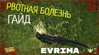 THE ISLE EVRIMA/РВОТНАЯ БОЛЕЗНЬ. ОБНОВЛЕНИЕ. ГАЙД 