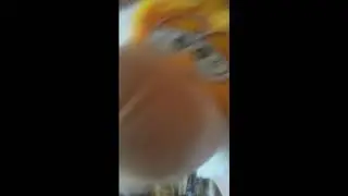 ТУСА МЯГКИХ ИГРУШЕК И БУХОЙ БАБОЧКИ.