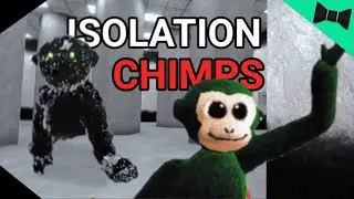 Scarier than SCARY BABOON? - ISOLATION CHIMPS