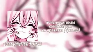 почему котикам компьютеры не нравятся [speed up]
