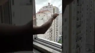 panjur sinekliği.