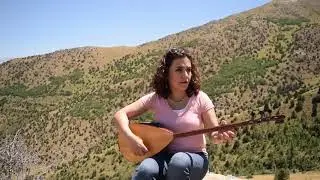 Xece dilemin yeni 2017