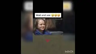Top funny new videos