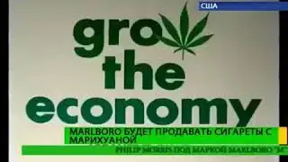 DUNYODA SHUNDAY SIGARETA XAM BOR EKAN