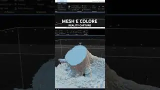 Reality Capture 1.4 - Calcolo della Mesh e del Colore