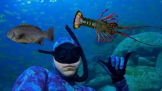 Living Off The Ocean: CRAYFISH and OCTOPUS Catch and Cook
