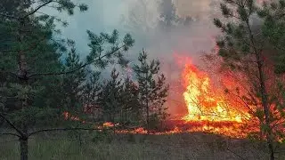 Пожар на горе Качканар поселок Косья