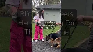 The Day I met My Guide Dog (Original Audio) #GuideDog #ServiceDog #Blind #LowVision ￼#DogDay ￼￼