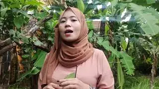 struktur dan fungsi pohon Jambu biji