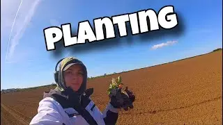 Planting 🌱🇬🇧 посадка