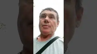 #Репортаж автора канала из посёлка Приморье Калининградской области