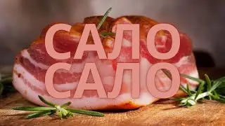Кот танцует под сало сало сало украинское сало #салосалосало