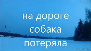 Охота на зайца с русской гончей.десятый зайка сезона