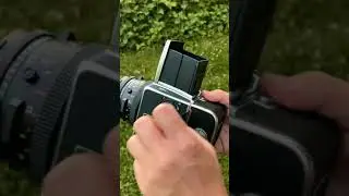 Hasselblad 503CX Operation ASMR