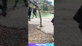 Satisfying Concrete Pour & Spread! Pure Construction ASMR by the Lake! 