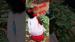 बच्ची का जुनून Mt shorts #youtubeshorts#video
