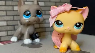 LPS:✧𝓕𝓪𝓵𝓼𝓮✧ [Odcinek #23]