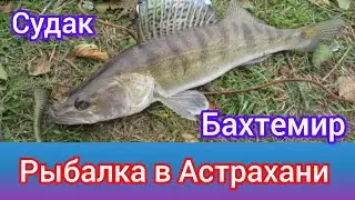 Судак. Бахтемир. Рыбалка в Астрахани