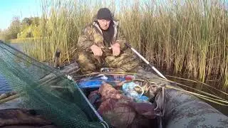 ПЕрвые щуки в Октябре  РЫБАЛКА ОСЕНЬЮ  ЛОВЛЯ НА КРУЖКИ