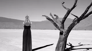 Laura Muccini - Out of destiny