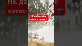 «Удобрять» этим сад - большая ошибка!